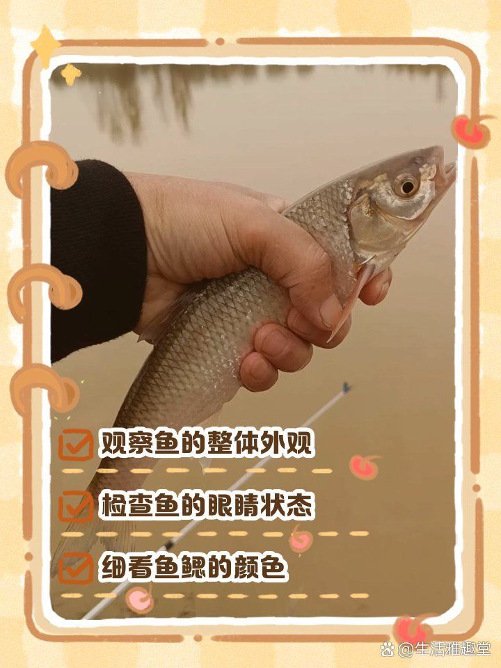 如何判斷魚肉是否變質(zhì)，如何判斷魚肉是否變質(zhì)，如何判斷魚肉是否變質(zhì)的跡象
