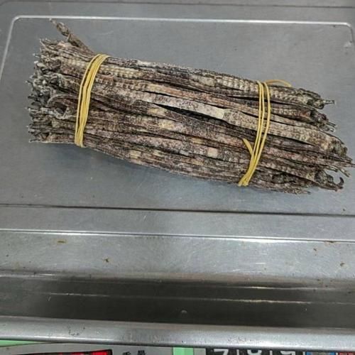 四角龍魚的價格是多少，四角海龍與六角恐龍魚價格對比