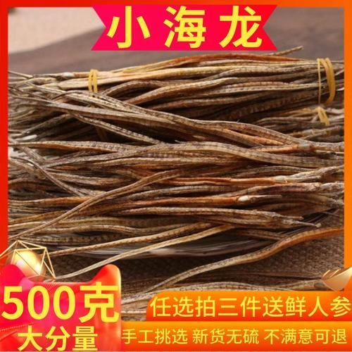 四角龍魚的價格是多少，四角海龍與六角恐龍魚價格對比