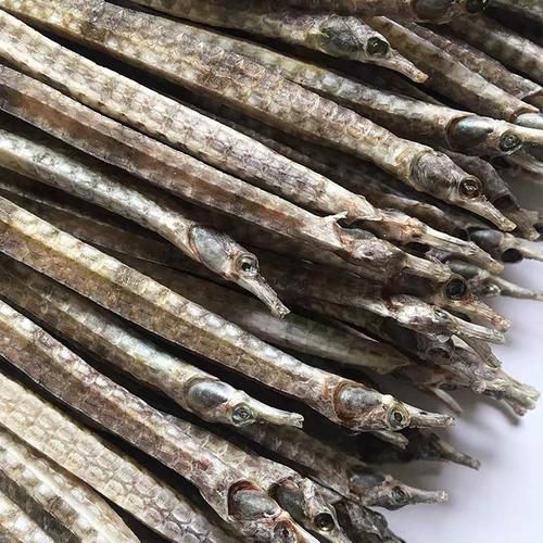四角龍魚的價格是多少，四角海龍與六角恐龍魚價格對比