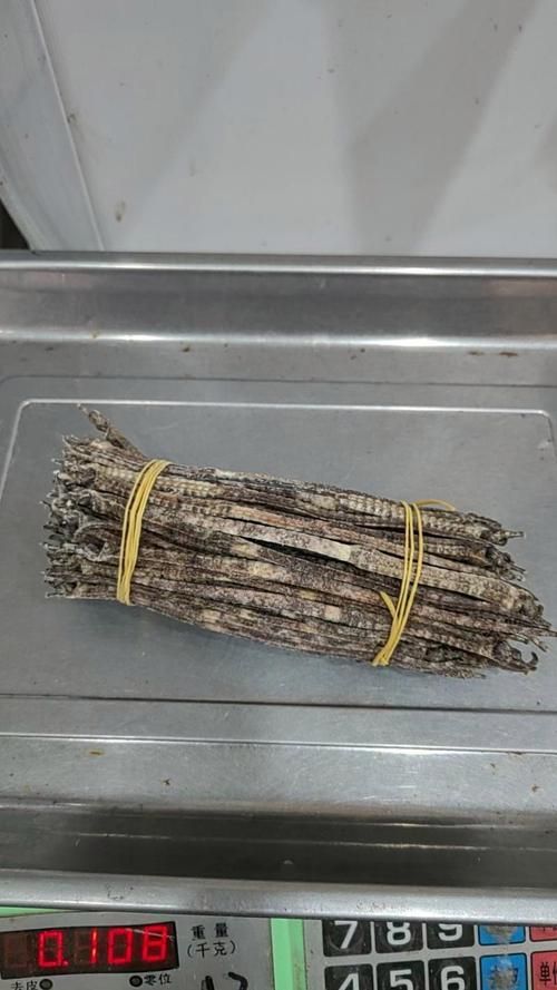 四角龍魚的價格是多少，四角海龍與六角恐龍魚價格對比