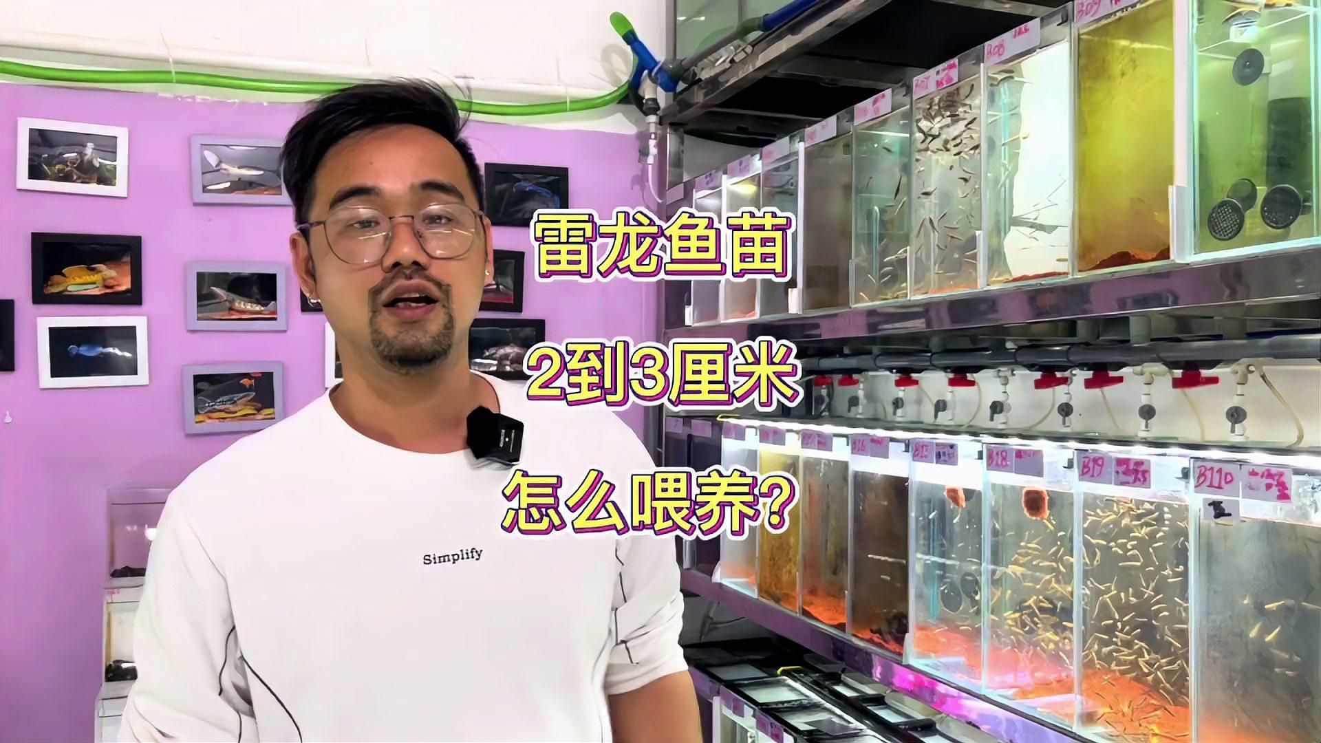 2～3厘米小魚幾天喂一次，2～3厘米小魚的喂養建議