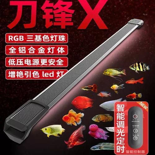 推薦幾款適合紅龍魚的魚缸燈，幾款適合紅龍魚的魚缸燈推薦