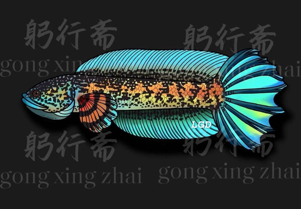雷龍哪個品種最受歡迎，七彩雷龍和黃金眼鏡蛇雷龍哪個品種最適合新手入門