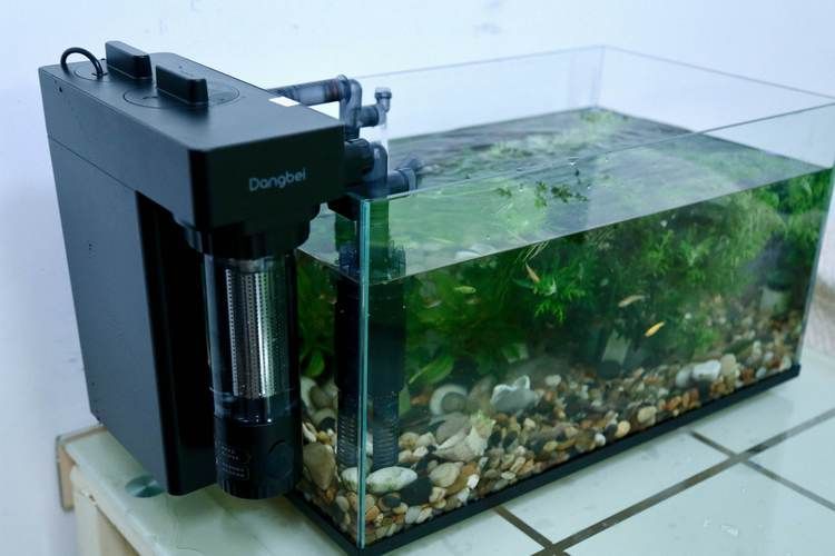 有哪些品牌魚缸過濾系統推薦，金利佳魚缸過濾器過濾器品牌及其優勢推薦及品牌推薦
