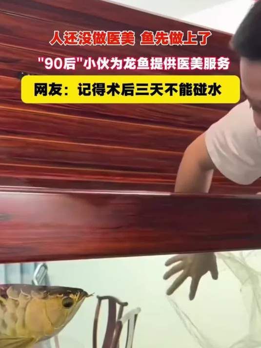 龍魚蒙眼恢復(fù)過(guò)程視頻，“龍魚蒙眼恢復(fù)過(guò)程圖解龍魚蒙眼恢復(fù)過(guò)程圖文說(shuō)明
