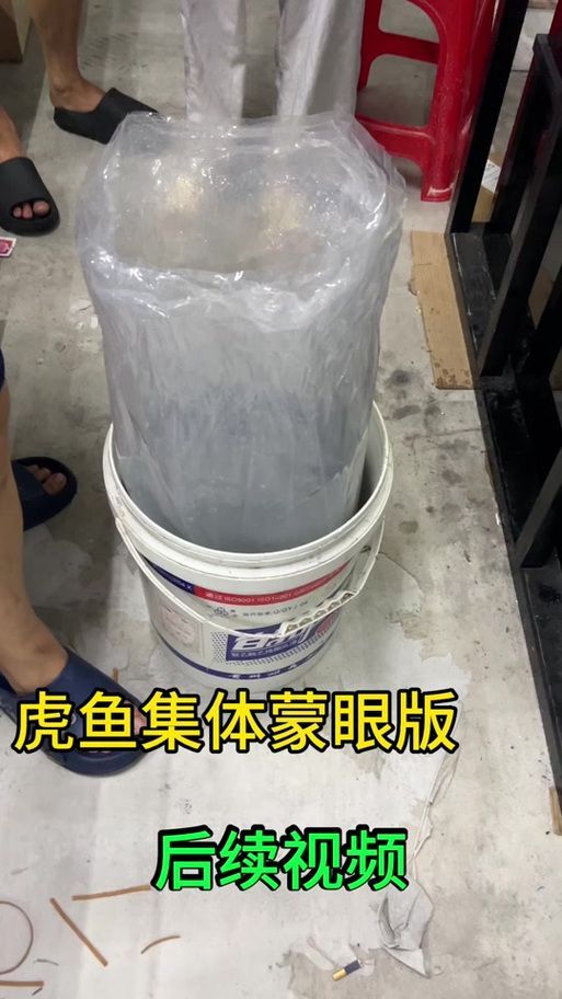 給我一些預(yù)防龍魚打架的圖片，聲東擊西———用銀龍當(dāng)“調(diào)解員”