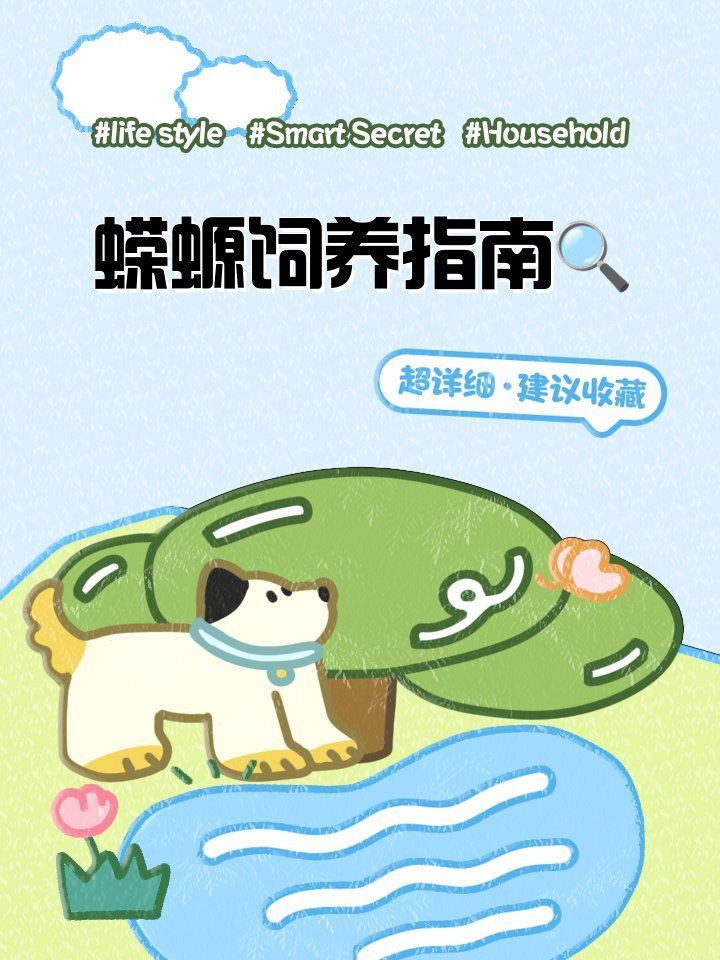 養蠑螈的10大忌，養蠑螈10大忌 養蠑螈的10大忌，養蠑螈10大忌 龍魚百科 第2張
