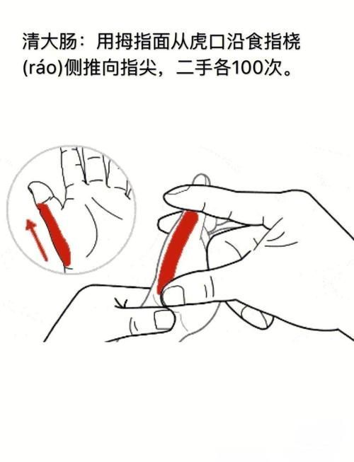 如何正確抓握龍貓，新手如何正確抓握龍貓