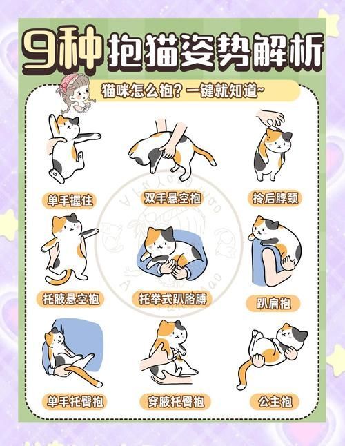 如何正確抓握龍貓，新手如何正確抓握龍貓