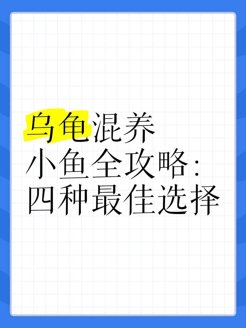 有哪些魚(yú)類(lèi)適合與龜混養(yǎng)，探討適合與烏龜混養(yǎng)的魚(yú)類(lèi)時(shí)，我們需要考慮多個(gè)因素