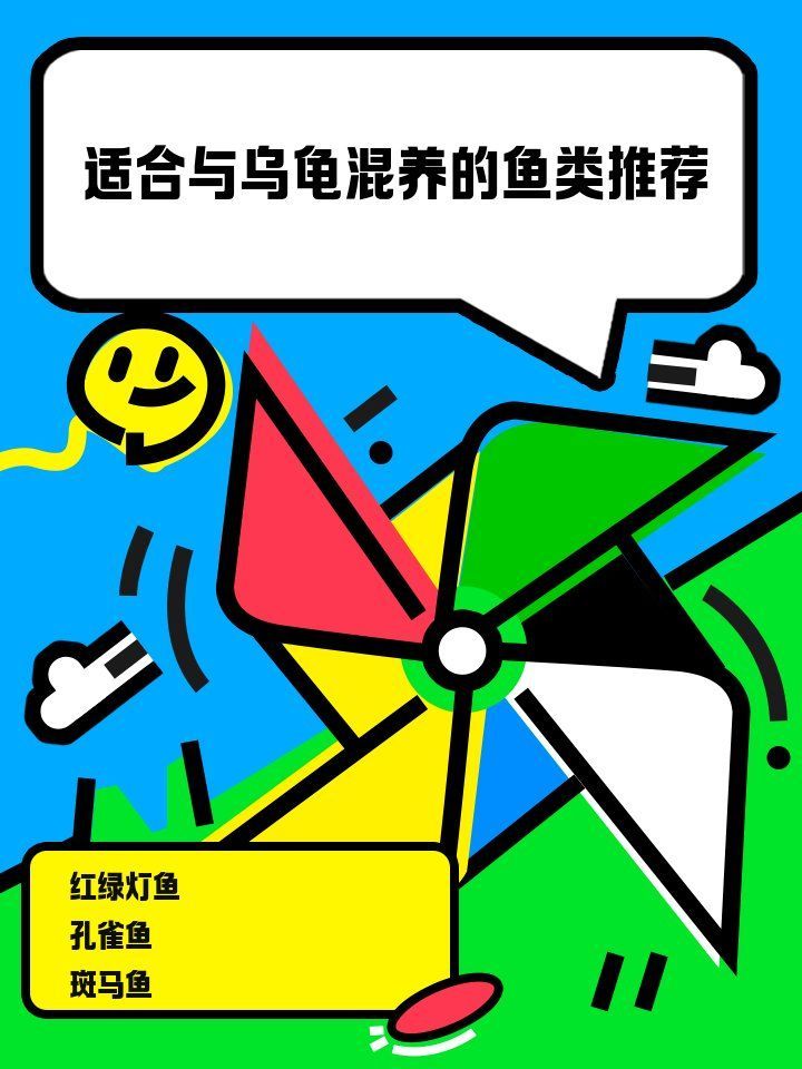 有哪些魚(yú)類(lèi)適合與龜混養(yǎng)，探討適合與烏龜混養(yǎng)的魚(yú)類(lèi)時(shí)，我們需要考慮多個(gè)因素