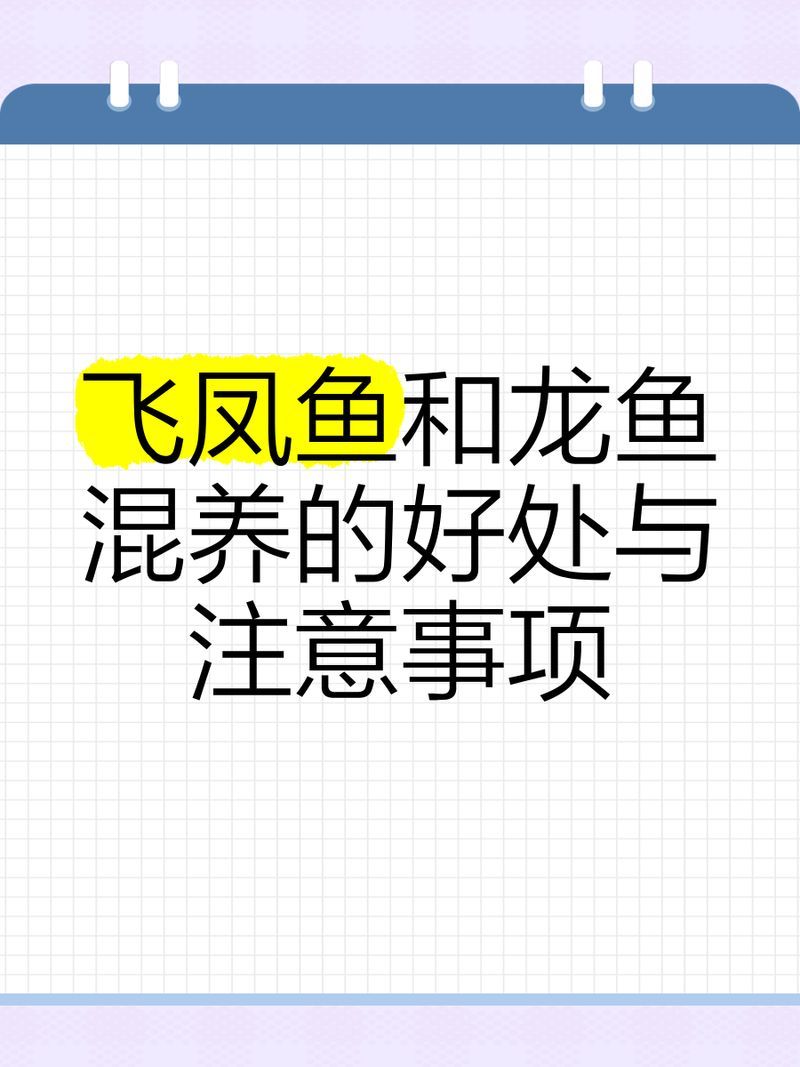 龍魚最適合與哪些魚混養，混養龍魚的注意事項