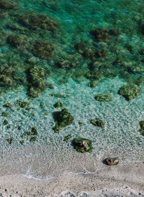 如何判斷水質(zhì)是否適合過背金龍魚？，如何判斷過背金龍魚
