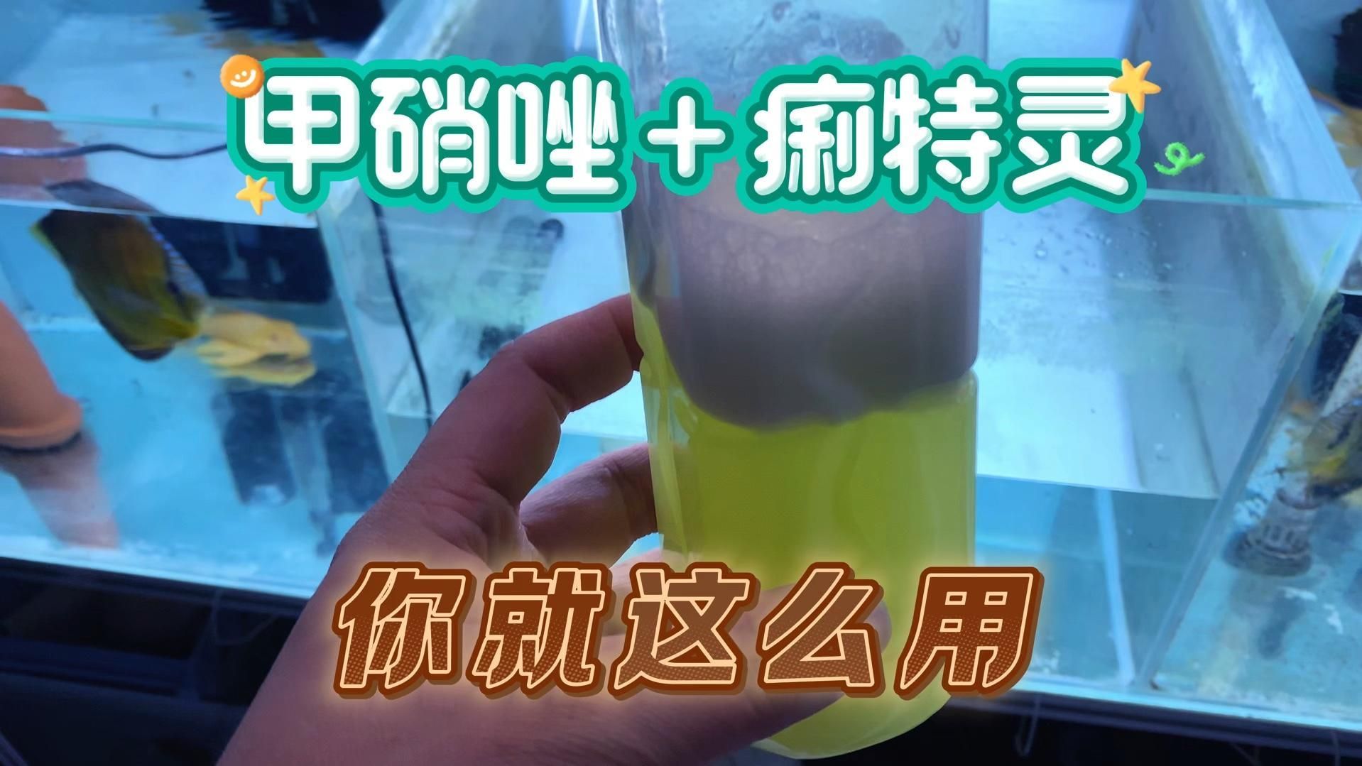 甲硝唑治療龍魚腸炎的劑量是多少？，甲硝唑治療龍魚腸炎劑量需根據用藥方式（藥浴或拌餌）、魚體大小及病情嚴重程度綜合判斷