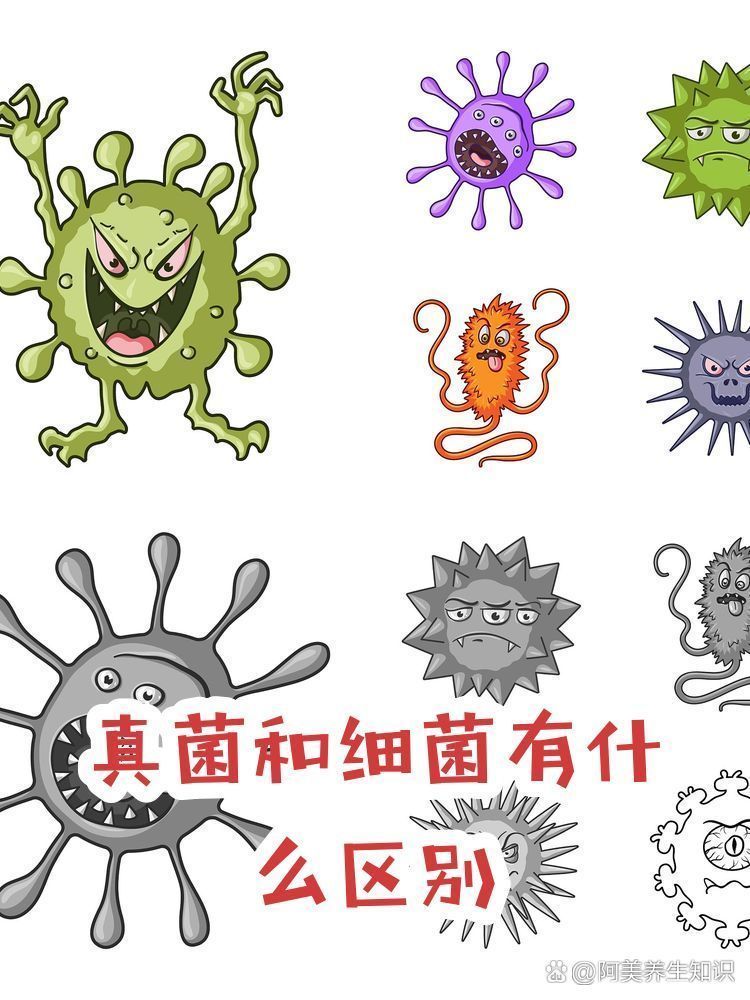 真菌感染和細菌感染如何區分，張明軒健康講堂張明軒健康講堂張明軒健康講堂張明軒 真菌感染和細菌感染如何區分，張明軒健康講堂張明軒健康講堂張明軒健康講堂張明軒 龍魚百科 第2張