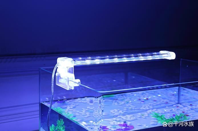 如何選擇適合的魚缸夜燈？，如何選擇魚缸夜燈