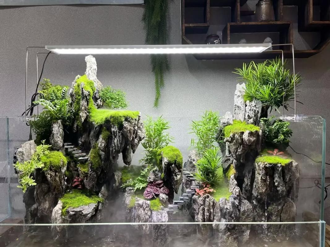 觀賞魚飼養技巧分享，觀賞魚觀賞魚飼養技巧（6.5–7.5、7.5）