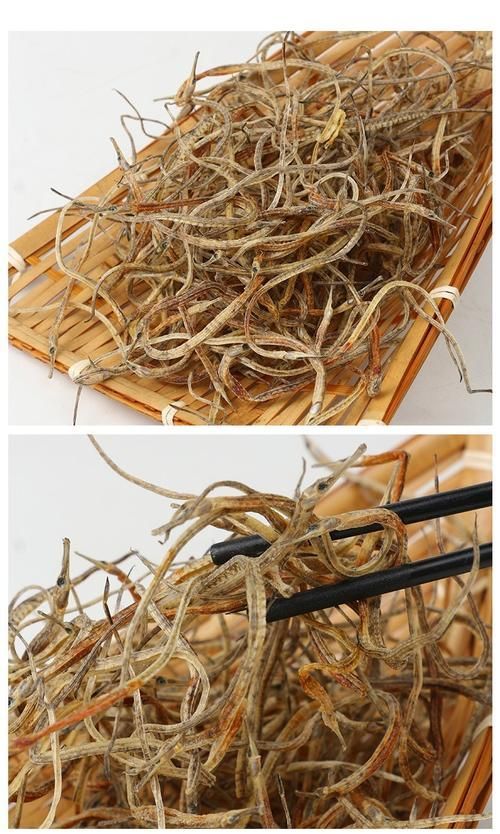 哪里可以買到正宗的海龍魚？，如何挑選正宗的海龍魚