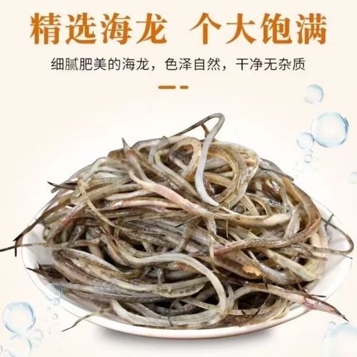 哪里可以買到正宗的海龍魚？，如何挑選正宗的海龍魚