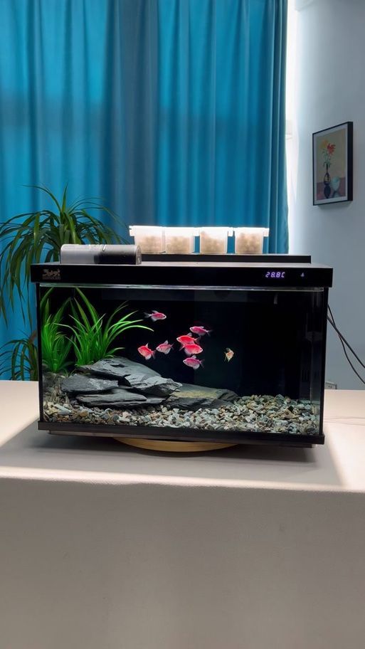 森森魚缸的價格范圍，森森魚缸價格一般多少錢？