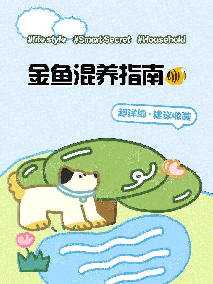 共養魚種時需要注意哪些事項，共養觀賞魚的注意事項