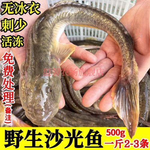 小龍魚的市場價格是多少？，小龍魚的價格一般多少錢？