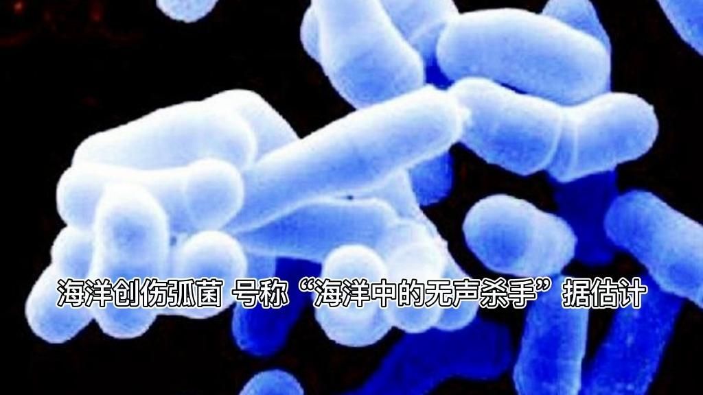 感染海里細菌后多久會出現(xiàn)癥狀，感染海洋細菌后多久會出現(xiàn)癥狀