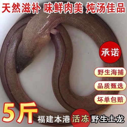 哪里可以購買到新鮮的杜龍魚？，如何辨別杜龍魚是否新鮮？