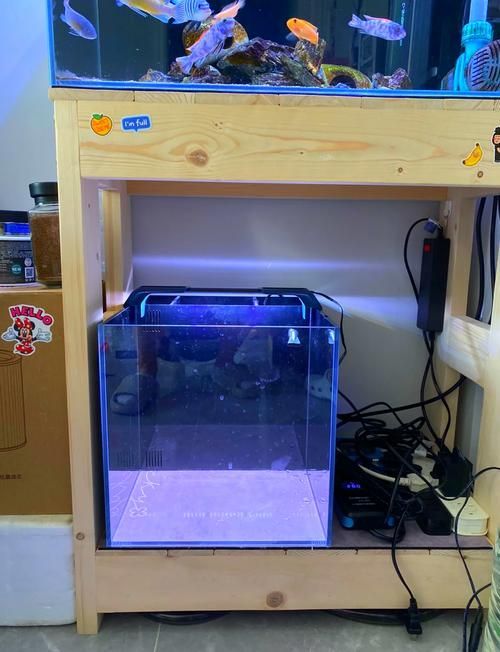 iwish魚缸有哪些型號？，iwish品牌魚缸型號及牌子