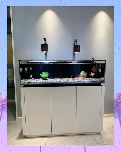 iwish魚缸有哪些型號？，iwish品牌魚缸型號及牌子