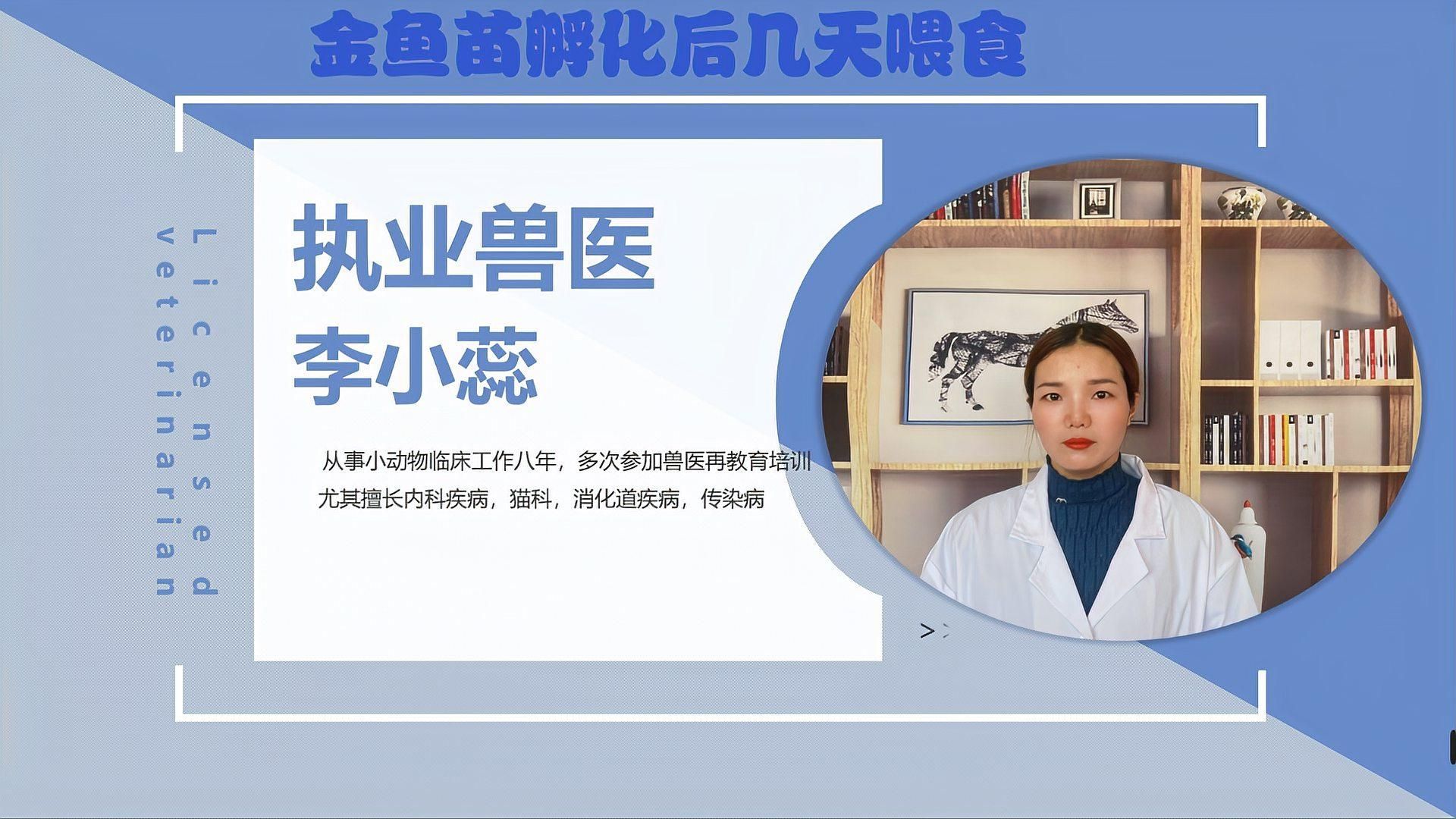 小金魚出生后如何喂養，小金魚出生后多久喂食合適小金魚出生后多久喂食合適