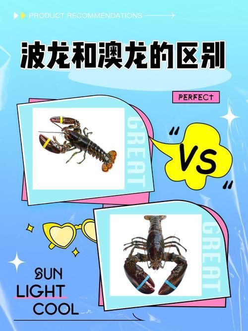 如何區分真假澳龍，權威海洋生物鑒別真假澳龍vs澳洲龍蝦（panulirusornatus或jasusedwardsii）