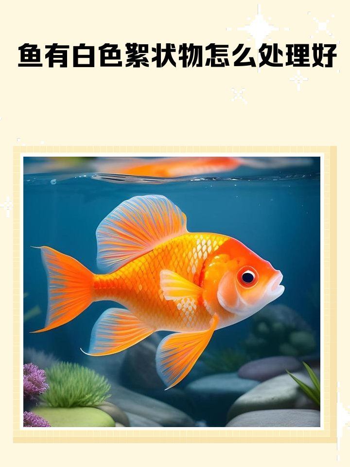 治療龍魚鰓蓋白色絮狀物有哪些方法，如何判斷龍魚身上有白色絮狀物會自行消失嗎 治療龍魚鰓蓋白色絮狀物有哪些方法，如何判斷龍魚身上有白色絮狀物會自行消失嗎 龍魚百科 第2張
