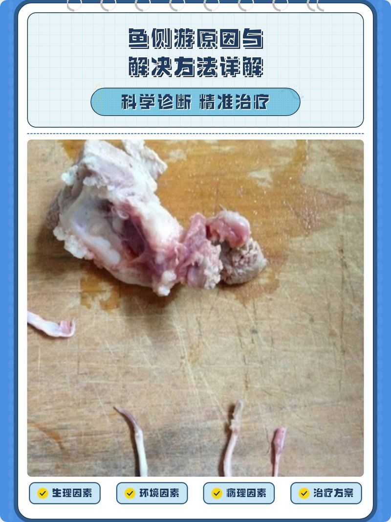 龍魚側游可能是哪些疾病引起的？，關于龍魚側游的一些問題 龍魚側游可能是哪些疾病引起的？，關于龍魚側游的一些問題 龍魚百科 第2張