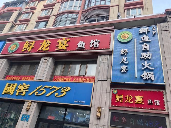 橋東龍魚的口碑如何？，張家口橋東龍魚