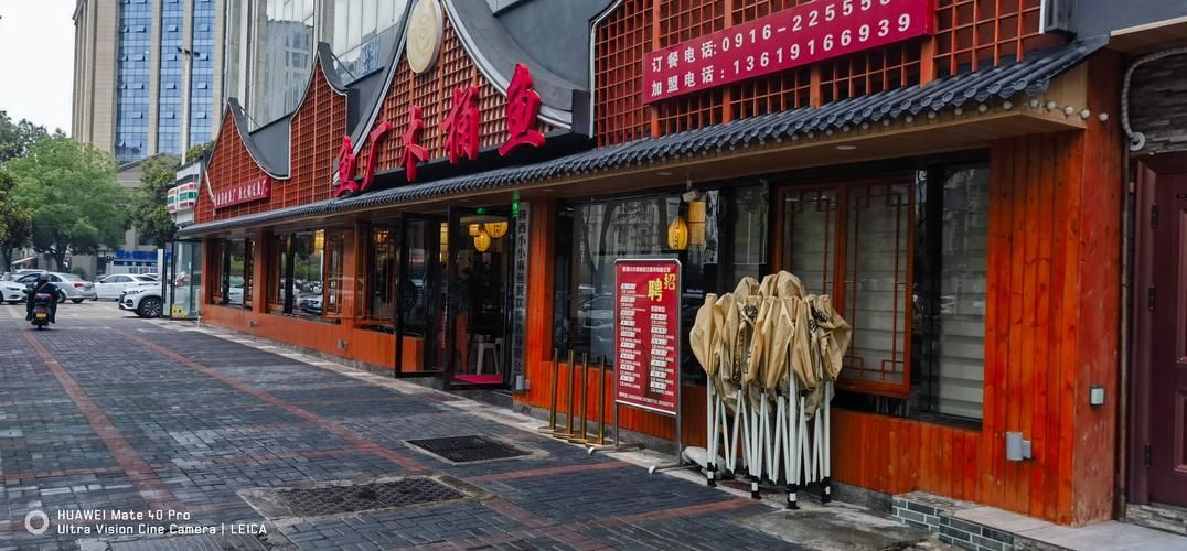 橋東龍魚的口碑如何？，張家口橋東龍魚