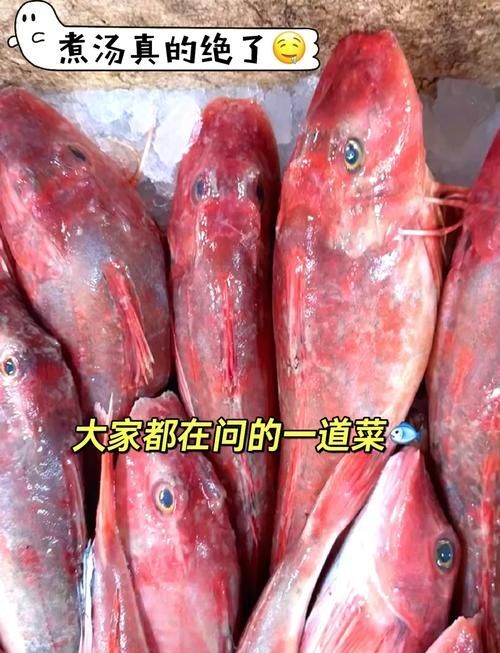 紅頭魚的市場價格是多少，紅頭魚市場供應量如何挑選紅頭魚的家常做法清單
