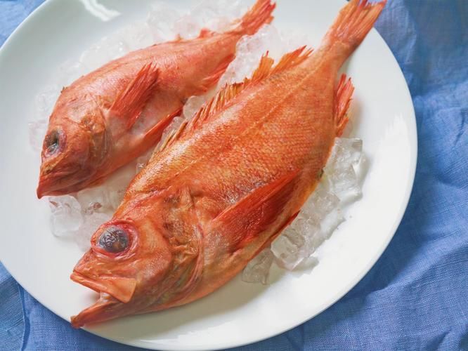 紅頭魚的市場價格是多少，紅頭魚市場供應量如何挑選紅頭魚的家常做法清單