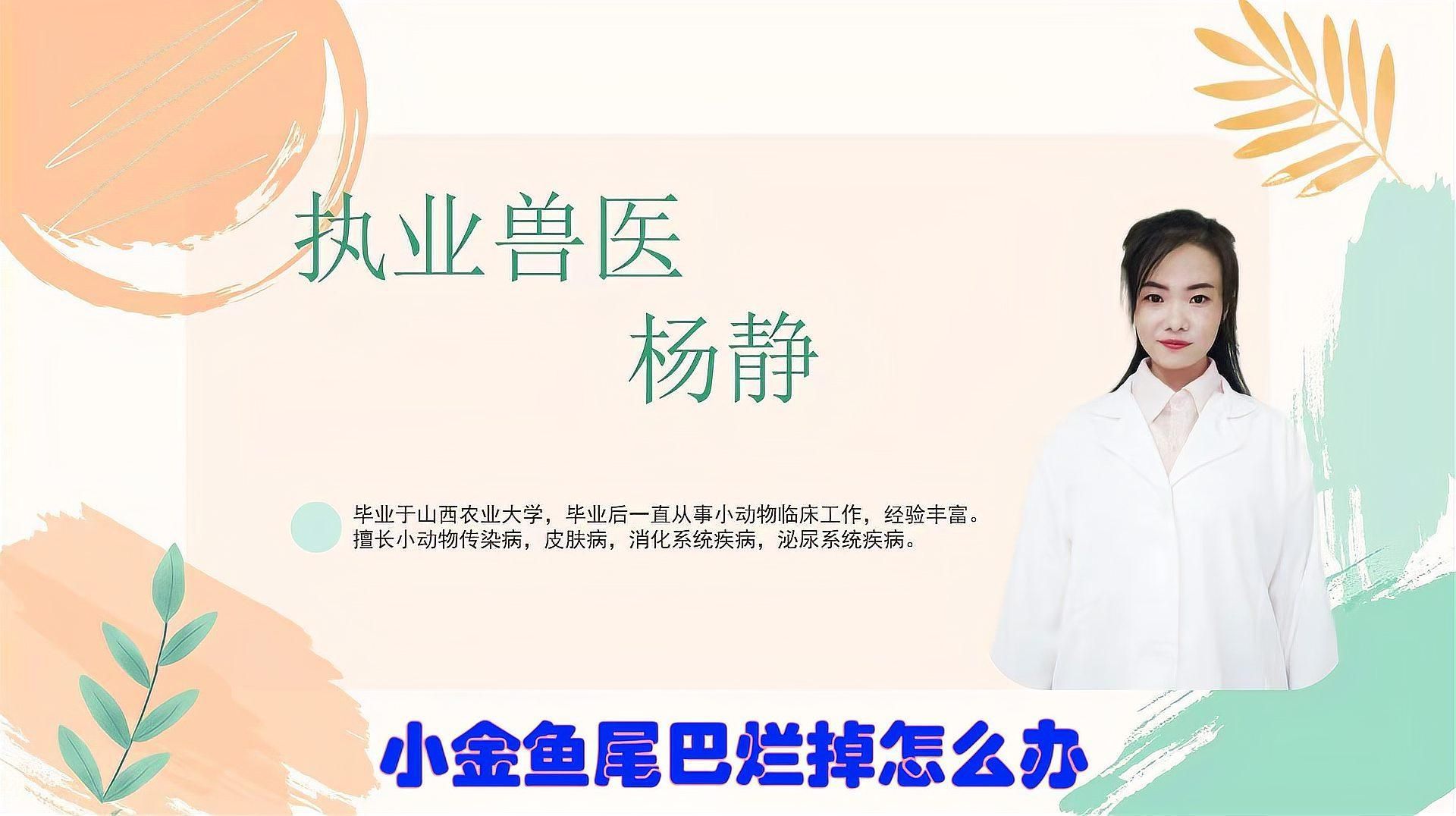 金魚爛尾后多久會恢復(fù)，金魚爛尾后多久可以喂食