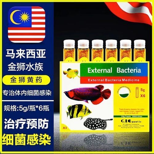 給我一些預(yù)防龍魚魚鰭充血的圖片，如何判斷龍魚是否貧血，
