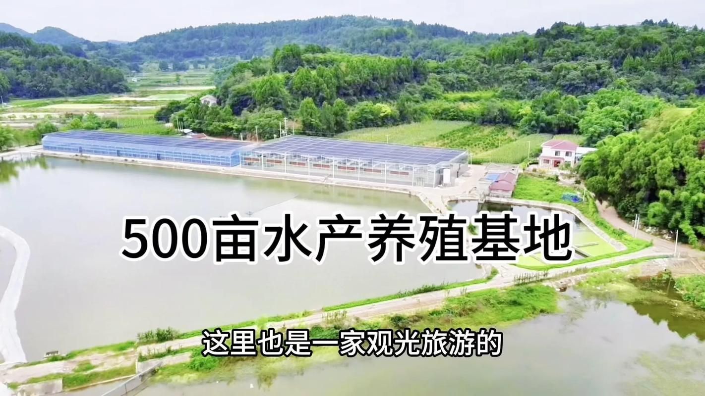 酒泉市未來有計劃引進龍魚養(yǎng)殖嗎？，酒泉市未來計劃引進龍魚養(yǎng)殖
