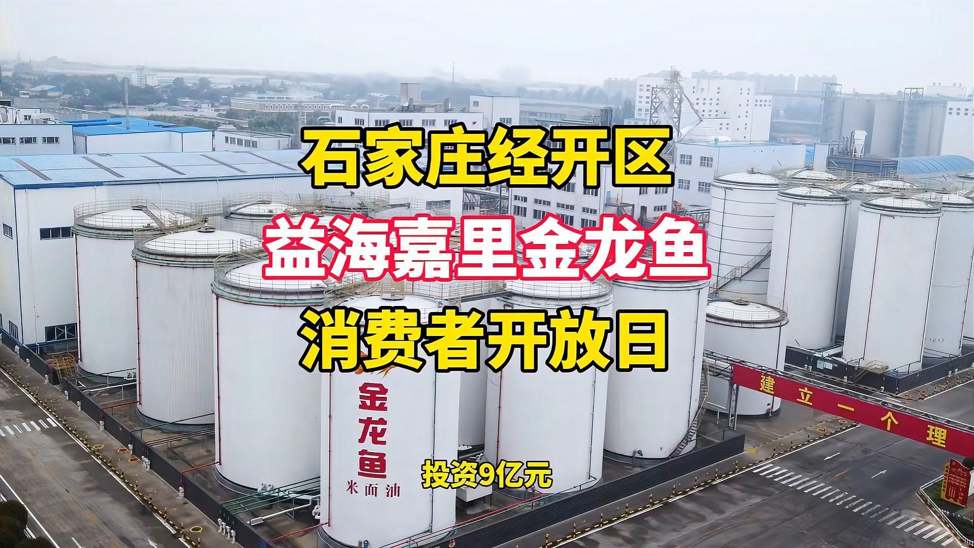 金龍魚生產基地哪個環境最好，哈爾濱金龍魚生產基地