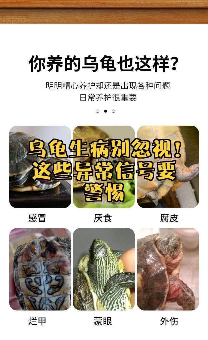 給我推薦一些龍龜保養產品，關于龍龜的保養