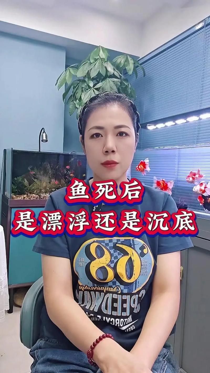 能否提供更多關于魚死后凈化儀式的圖片，寵物魚死后凈化儀式有哪些文化背景有哪些文化背景