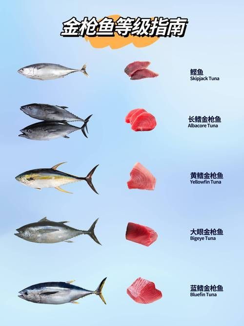 長鰭金槍魚的汞含量為什么波動大，長鰭金槍魚汞含量波動大的原因可能與多種因素有關