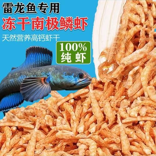 龍魚張嘴呼吸浮頭是怎么回事，魚張嘴呼吸浮頭是一種常見現象，龍魚張嘴呼吸浮頭能自愈嗎 龍魚張嘴呼吸浮頭是怎么回事，魚張嘴呼吸浮頭是一種常見現象，龍魚張嘴呼吸浮頭能自愈嗎 龍魚百科 第19張