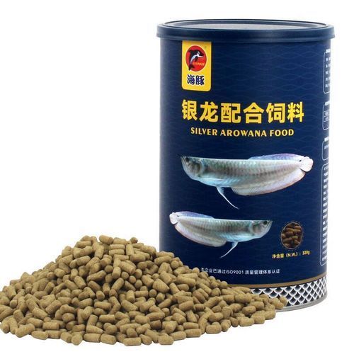 龍魚張嘴呼吸浮頭是怎么回事，魚張嘴呼吸浮頭是一種常見現象，龍魚張嘴呼吸浮頭能自愈嗎 龍魚張嘴呼吸浮頭是怎么回事，魚張嘴呼吸浮頭是一種常見現象，龍魚張嘴呼吸浮頭能自愈嗎 龍魚百科 第12張