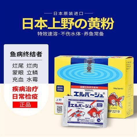 龍魚尾鰭充血，關于龍魚尾部充血的詳解