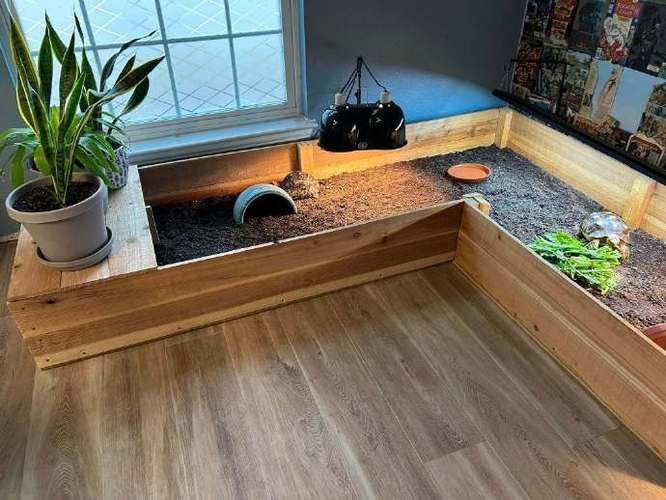 能否提供更詳細的飼養環境圖片，如何打造理想的寵物飼養環境